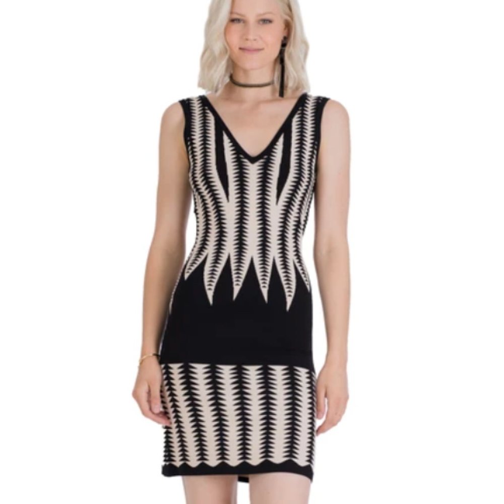 ✨NWT✨ Vertigo Paris Fitted Sweater Dress